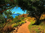 Path Download Jigsaw Puzzle