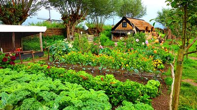 Flowers Download Jigsaw Puzzle