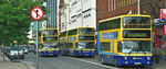 Buses, Dublin Download Jigsaw Puzzle