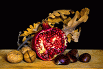 Pomegranate Download Jigsaw Puzzle