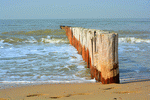 Seashore Download Jigsaw Puzzle