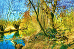 Tree Download Jigsaw Puzzle