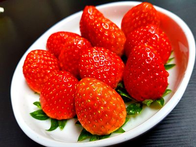 Strawberries Download Jigsaw Puzzle