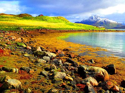 Rocky Lakeshore Download Jigsaw Puzzle