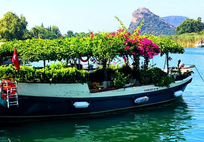 Floral Boat Download Jigsaw Puzzle