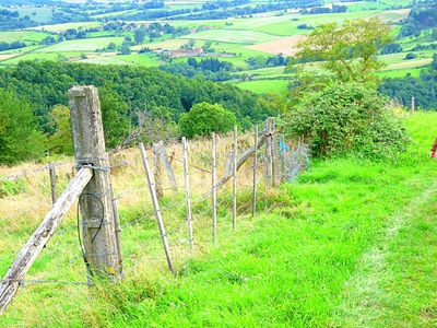 Fence Download Jigsaw Puzzle