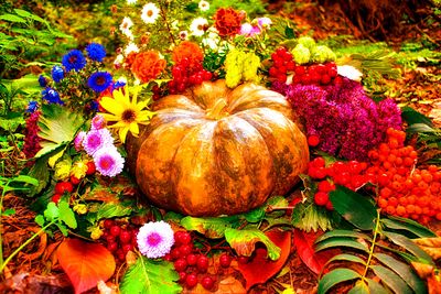 Flowers Download Jigsaw Puzzle
