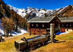 Mountain Cabin Download Jigsaw Puzzle