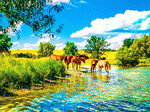 Horses Download Jigsaw Puzzle
