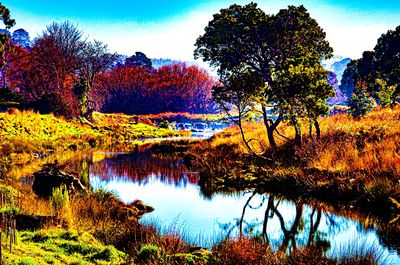 River Download Jigsaw Puzzle