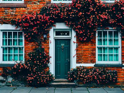Flowers Download Jigsaw Puzzle
