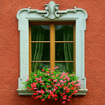 Flowers Download Jigsaw Puzzle