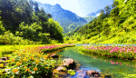 Flowers Download Jigsaw Puzzle