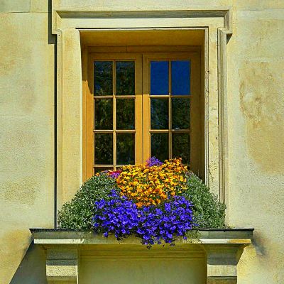 Flowers Download Jigsaw Puzzle