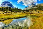 Alpine Mountain Stream Download Jigsaw Puzzle