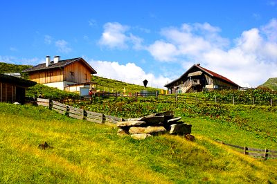 Hillside Houses Download Jigsaw Puzzle