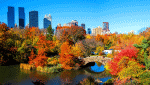 Autumn City Park Download Jigsaw Puzzle
