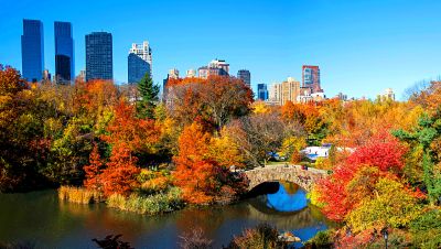 Autumn City Park Download Jigsaw Puzzle