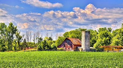 Farm Download Jigsaw Puzzle