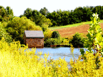 Lake Cabin Download Jigsaw Puzzle