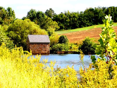 Lake Cabin Download Jigsaw Puzzle