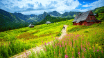 Alpine Valley Meadow Download Jigsaw Puzzle