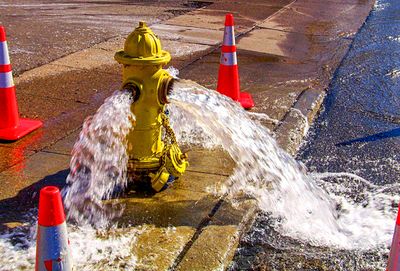 Fire Hydrant Download Jigsaw Puzzle
