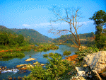 Winding River Download Jigsaw Puzzle