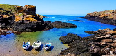Boats Download Jigsaw Puzzle