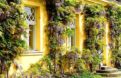 House Download Jigsaw Puzzle