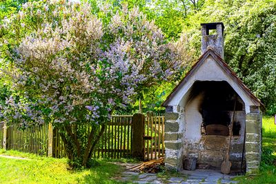 Hut Download Jigsaw Puzzle