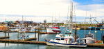 Busy Fishing Harbor Download Jigsaw Puzzle