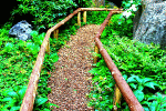 Wooden Pathway Download Jigsaw Puzzle