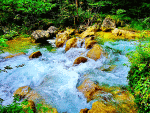 Rushing River Download Jigsaw Puzzle