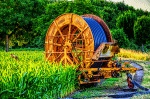 Irrigation Hose Reel Download Jigsaw Puzzle