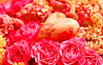Flowers Download Jigsaw Puzzle