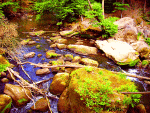 Rocky Stream Download Jigsaw Puzzle