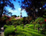 Lush Garden Download Jigsaw Puzzle