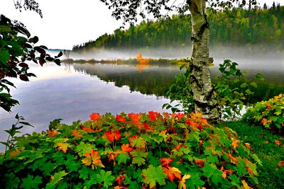 Autumn Leaves Download Jigsaw Puzzle