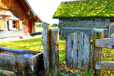 Gate Download Jigsaw Puzzle