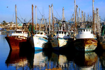 Fishing Boats Download Jigsaw Puzzle