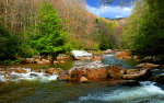 Rocky Forest Stream Download Jigsaw Puzzle