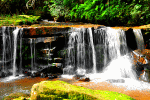 Cascading Woodland Waterfall Download Jigsaw Puzzle