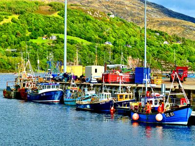 Boats Download Jigsaw Puzzle