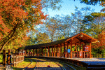 Train Platform Download Jigsaw Puzzle