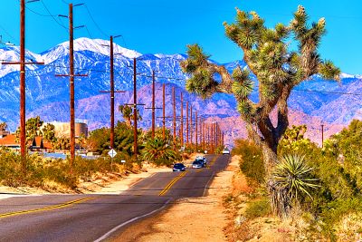 High Desert Road, Southern California Download Jigsaw Puzzle