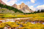 Alpine Meadow Download Jigsaw Puzzle