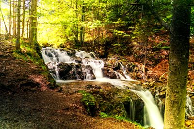 Cascading Forest Waterfall Download Jigsaw Puzzle
