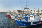 Fishing Boats Download Jigsaw Puzzle