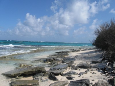 Beach Download Jigsaw Puzzle